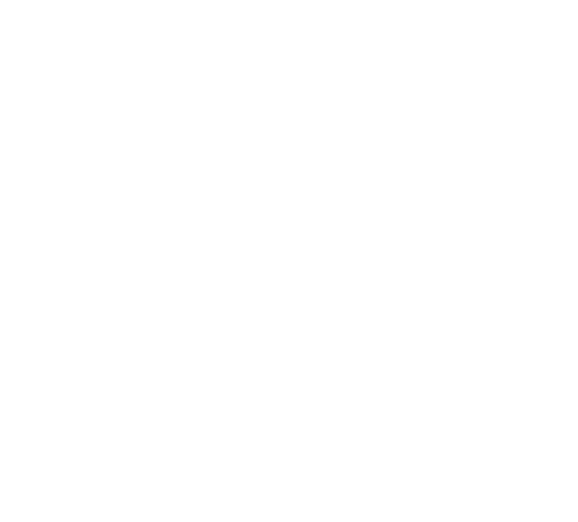 Sentra white logo